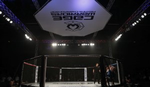 Bud Light to Sponsor UFC in Historic Deal